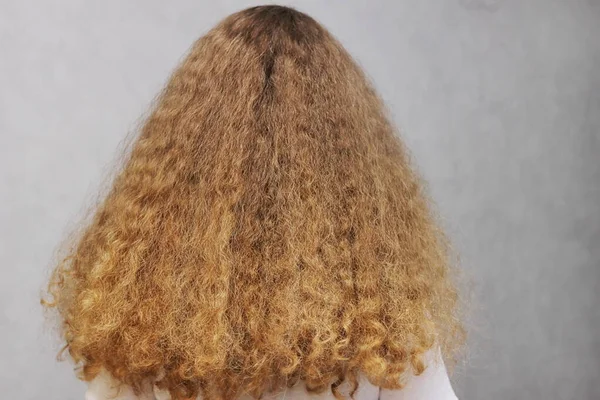 Cabelo Feminino Bonito Forte Saudável Uma Menina Com Cabelo Ondulado — Fotografia de Stock