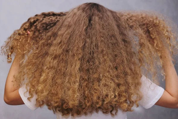 Cabello esponjoso. Una chica con la espalda a la cámara sostiene su cabello grueso, natural, largo y ondulado. —  Fotos de Stock