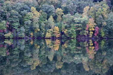 Autumn reflections on Lake Santeetlah, North Carolina. clipart