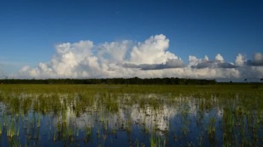 Everglades Ulusal Parkı 4K 'daki Delikli Donut bölgesindeki bulutların zamanı.