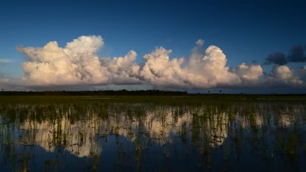 Zeitraffer der Wolken über dem Hole-In-The-Donut Gebiet im Everglades National Park 4K. — Stockvideo