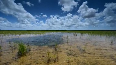 Everglades Ulusal Parkı 4K 'daki Delikli Donut bölgesindeki bulutların zamanı.