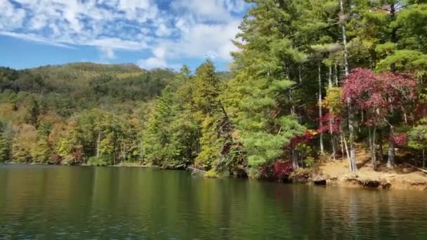 Színes tó Santeetlah tó partján Észak-Karolinában őszi színezés 4K. — Stock videók