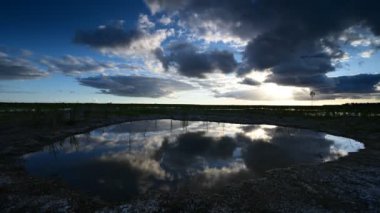 Everglades Ulusal Parkı üzerindeki dramatik bulutların zamanı, Florida 4K.