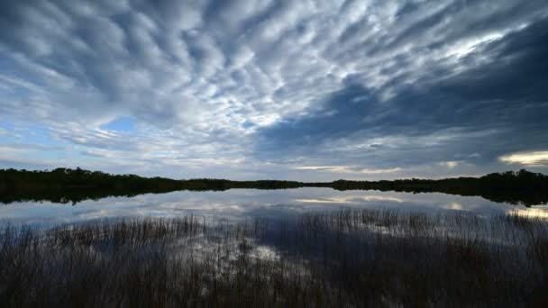 Zeitraffer der Sonnenaufgangswolkenlandschaft über dem Everglades National Park, Florida 4K. — Stockvideo