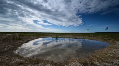 Everglades Ulusal Parkı, Florida 4K üzerinde gün doğumu bulutu zamanı.