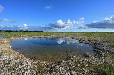 Everglades Ulusal Parkı 'ndaki habitat yenileme projesi üzerine sonbahar bulutları.