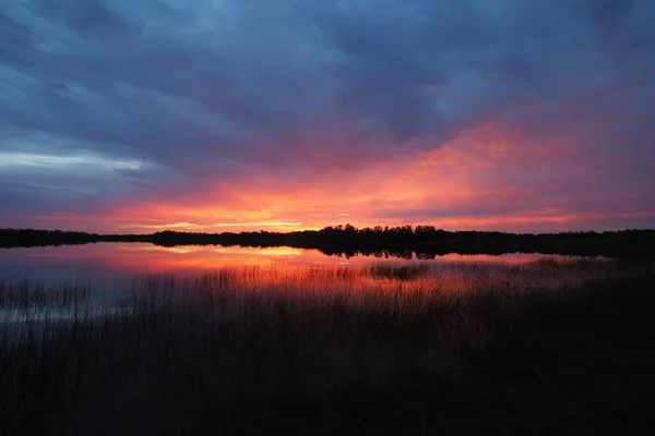Bunte Sonnenaufgangswolken über einem Teich im Everglades National Park, Florida. — Stockfoto
