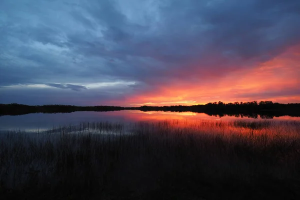 Florida 'daki Everglades Ulusal Parkı' nda gölün üzerinde renkli bir gün doğumu bulutu.