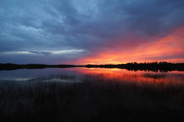 Paysage nuageux de lever de soleil coloré sur l'étang dans le parc national des Everglades, Floride. — Photo