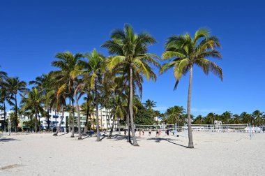 Miami Beach, Florida 'daki Lummus Park' taki Muscle Beach..