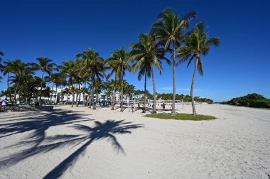 Miami Beach, Florida 'daki Lummus Park' taki Muscle Beach..