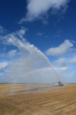 Homestead, Florida yakınlarındaki tarlaları sulayan kamyon spreyde gökkuşağı oluşturuyor..
