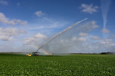 Homestead, Florida yakınlarındaki tarlaları sulayan kamyonlar spreyde gökkuşağı oluşturuyor..