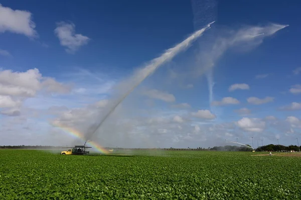 Szivattyús teherautók öntözőmezők közelében Homestead, Florida létre szivárvány spray. — Stock Fotó