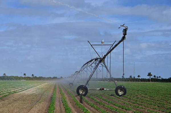 Automated irrigation machine watering planted fields near Homestead, Florida. — Stock Photo, Image