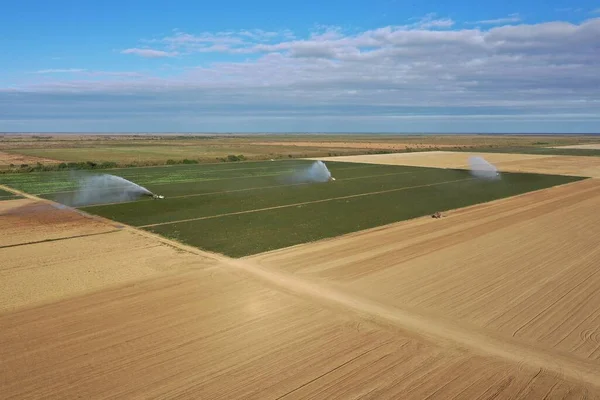Pemandangan udara tentang irigasi dan lahan pertanian di Homestead, Florida. — Stok Foto