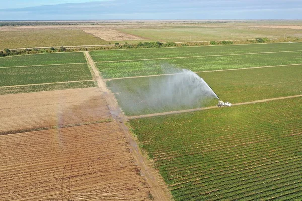 Homestead, Florida 'daki sulama ve tarım alanlarının havadan görünüşü.