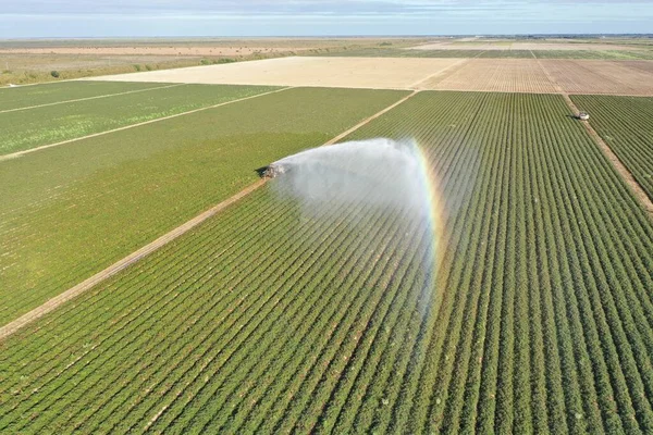 Pemandangan udara tentang irigasi dan lahan pertanian di Homestead, Florida. — Stok Foto