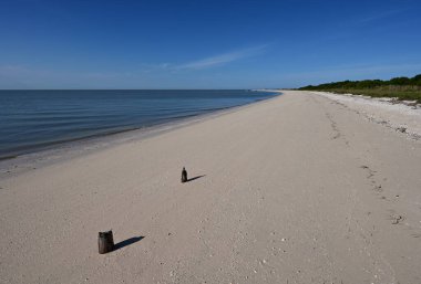 Florida, Everglades Ulusal Parkı 'ndaki Cape Sable Sahili' nin ortasında..