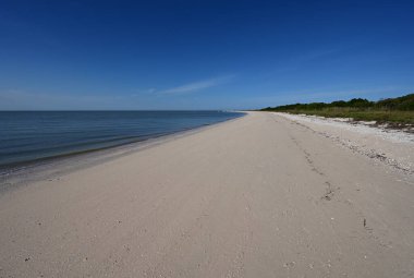 Florida, Everglades Ulusal Parkı 'ndaki Cape Sable Sahili' nin ortasında..