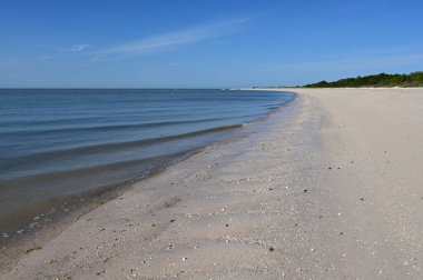 Florida, Everglades Ulusal Parkı 'ndaki Cape Sable Sahili' nin ortasında..