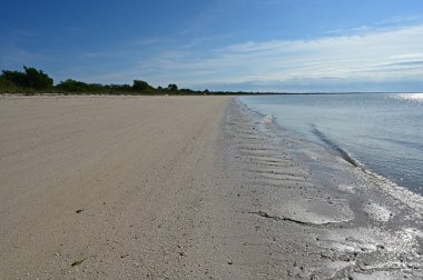 Florida, Everglades Ulusal Parkı 'ndaki Cape Sable Sahili' nin ortasında..