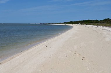 Florida, Everglades Ulusal Parkı 'ndaki Cape Sable Sahili' nin ortasında..