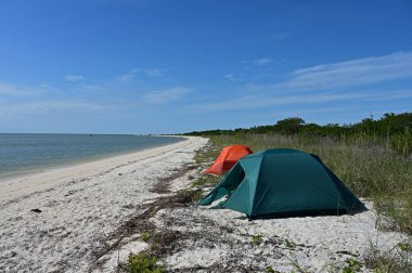 Everglades Ulusal Parkı, Florida 'daki Middle Cape Sable' da çadır kampı..