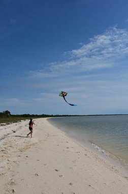 Everglades 'teki Cape Sable plajında uçurtma uçuran genç kumsal kampçıları..