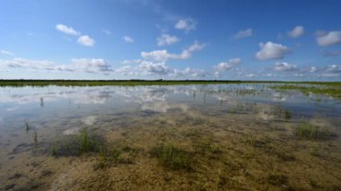 Everglades Ulusal Parkı 4K 'daki çözüm deliklerinin üzerindeki bulut oluşumunun zamanı.