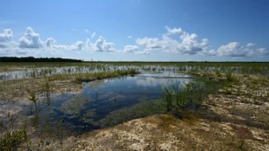 Everglades Ulusal Parkı 4K 'daki çözüm deliklerinin üzerindeki bulut oluşumunun zamanı.