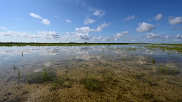 Timelapse de formación de nubes sobre agujeros de solución en Everglades National Park 4K. — Vídeos de Stock