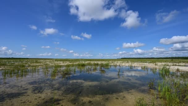 Timelapse av molnbildning över lösningshål i Everglades nationalpark 4K. — Stockvideo