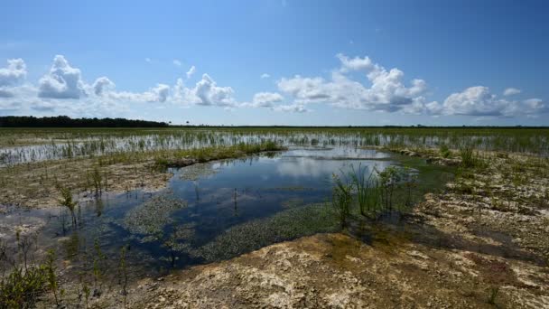 Timelapse de formación de nubes sobre agujeros de solución en Everglades National Park 4K. — Vídeo de stock