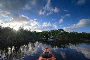 Everglades Ulusal Parkı 'ndaki Nine Mile Pond' da kayak yapan kadın ve son sınıf öğrencisi..