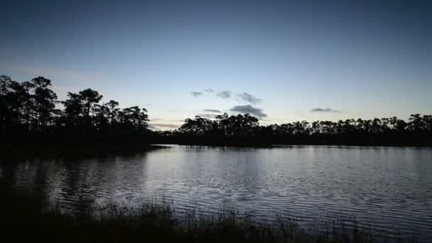 Soluppgång timelapse över Long Pine Key camping i Everglades nationalpark 4K. — Stockvideo