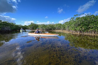 Everglades Ulusal Parkı 'ndaki Nine Mile Pond' da kayak yapan kadın ve son sınıf öğrencisi..