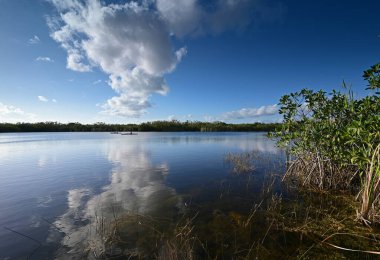 Everglades Ulusal Parkı 'nda 9 Mil Gölet Bulutu ve yansımaları.