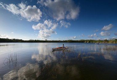Florida, Everglades Ulusal Parkı 'ndaki Nine Mile Pond' da kayak yapan kadın..