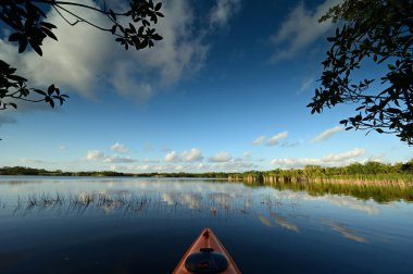 Everglades NP 'deki Nine Mile Gölü' nün mangrov ağaçlarının arasındaki kano manzarası.