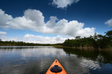 Öğleden sonra Florida 'daki Everglades Ulusal Parkı' ndaki Nine Mile Pond 'da kayak yaparken..