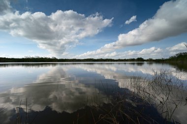Everglades Ulusal Parkı 'nda 9 Mil Gölet Bulutu ve yansımaları.