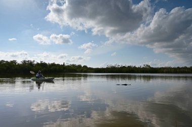 Everglades Ulusal Parkı 'nda 9 Mil Gölet Bulutu ve yansımaları.