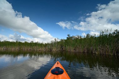 Öğleden sonra Florida 'daki Everglades Ulusal Parkı' ndaki Nine Mile Pond 'da kayak yaparken..