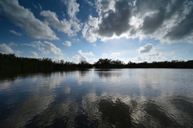 Everglades Ulusal Parkı 'nda 9 Mil Gölet Bulutu ve yansımaları.