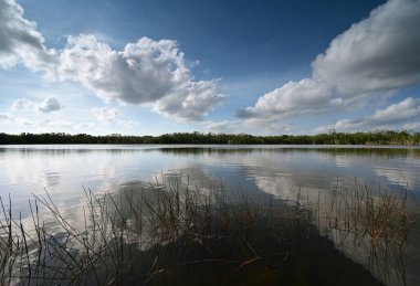 Everglades Ulusal Parkı 'nda 9 Mil Gölet Bulutu ve yansımaları.