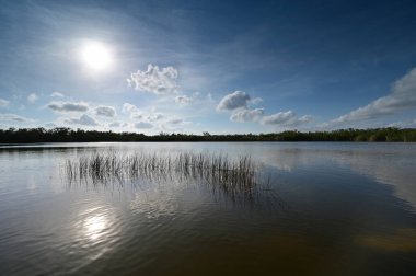 Everglades Ulusal Parkı 'nda 9 Mil Gölet Bulutu ve yansımaları.