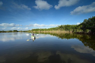 Everglades Ulusal Parkı, Florida 'daki Nine Mile Pond' da aktif son sınıf kanosu..,
