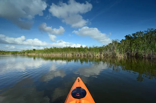 Délutáni kajakozás a 9 mérföldes tavon Everglades Nemzeti Parkban, Floridában. — Stock Fotó